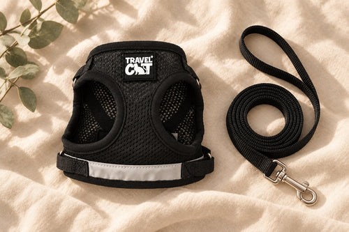 Harness + Leash