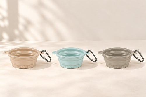 Collapsible Travel Bowl