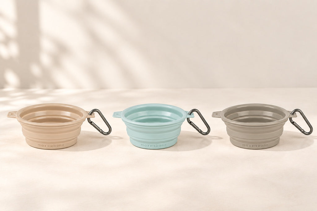 Collapsible Travel Bowl