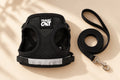 Harness + Leash