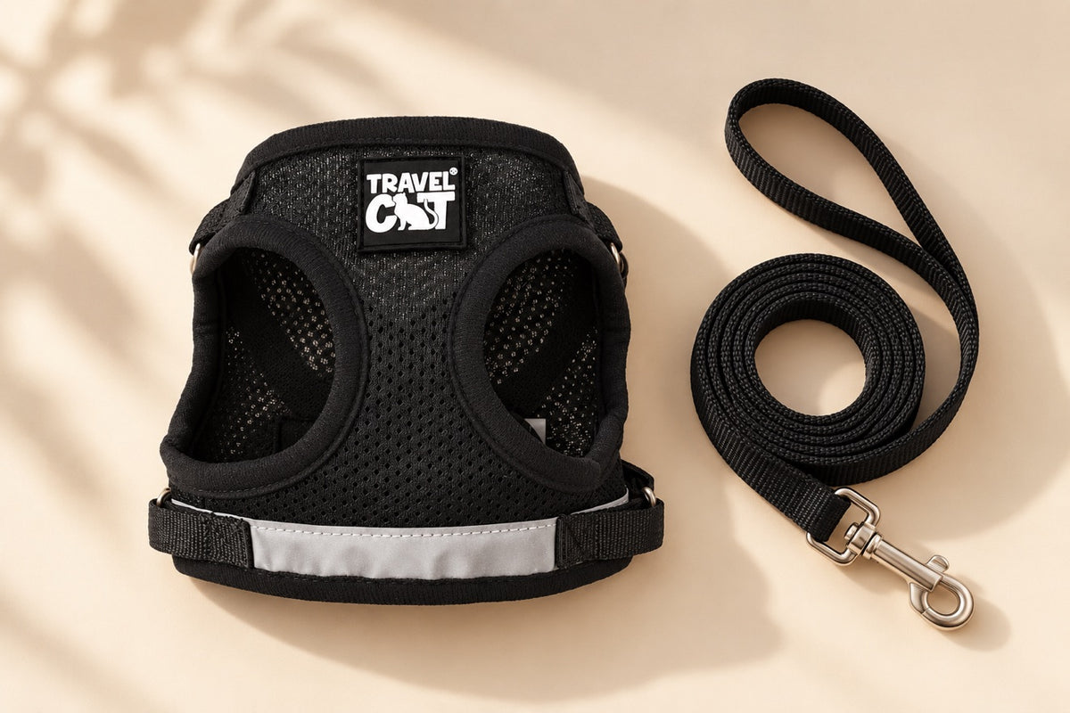 Harness + Leash