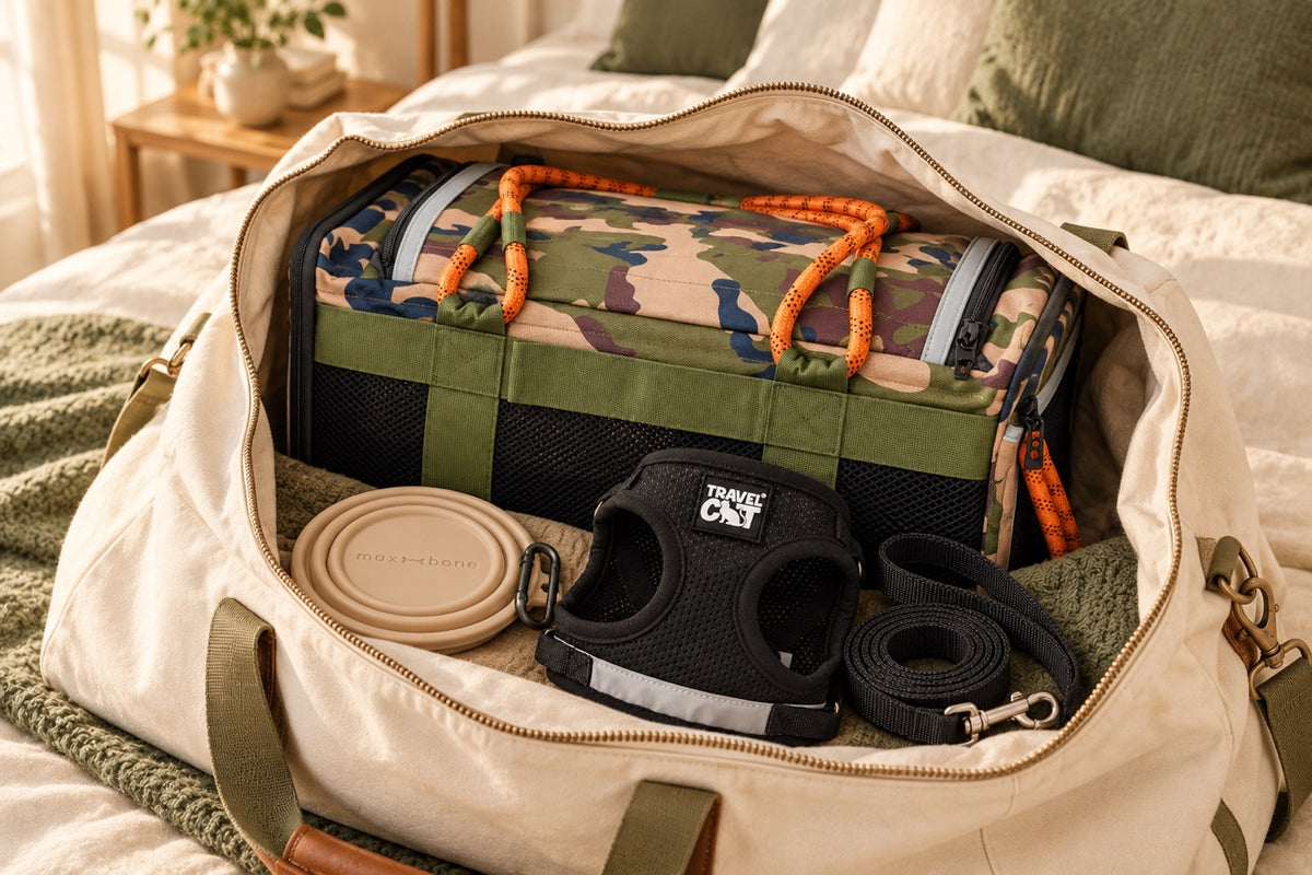 The Fly Kit
