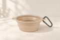 Collapsible Travel Bowl